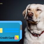 Petco Credit Card Login Process & Payment Method